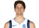 Tarik Biberovic