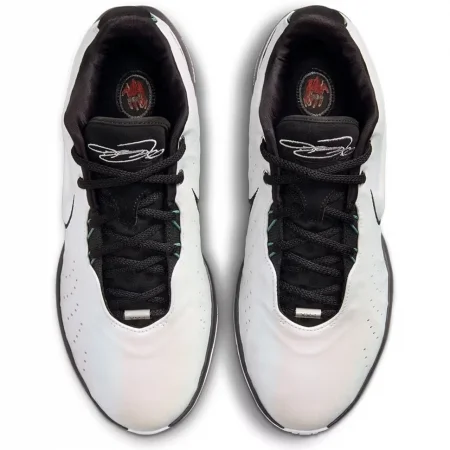 Nike LeBron XXI Lebron XXI Conchiolin