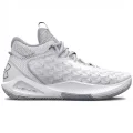 Under Armour Under Armour HOVR Havoc 5 Clone White