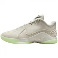 Nike Lebron 22 Dunkman