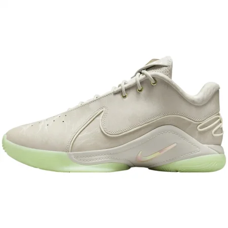 LeBron 22 Nike Lebron 22 Dunkman