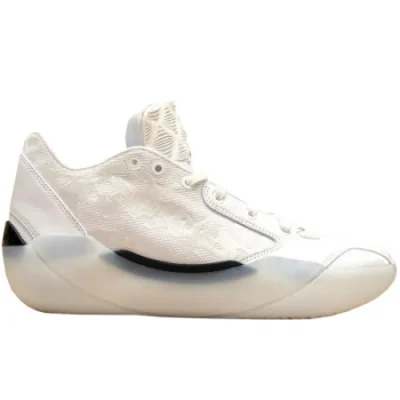 Jordan Air Jordan 39